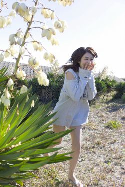 欧美视频在线