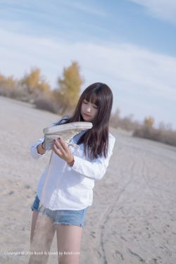 婚战剧情简介