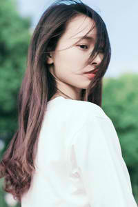 杨志刚电视剧