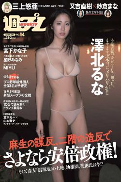 安娜与国王正片